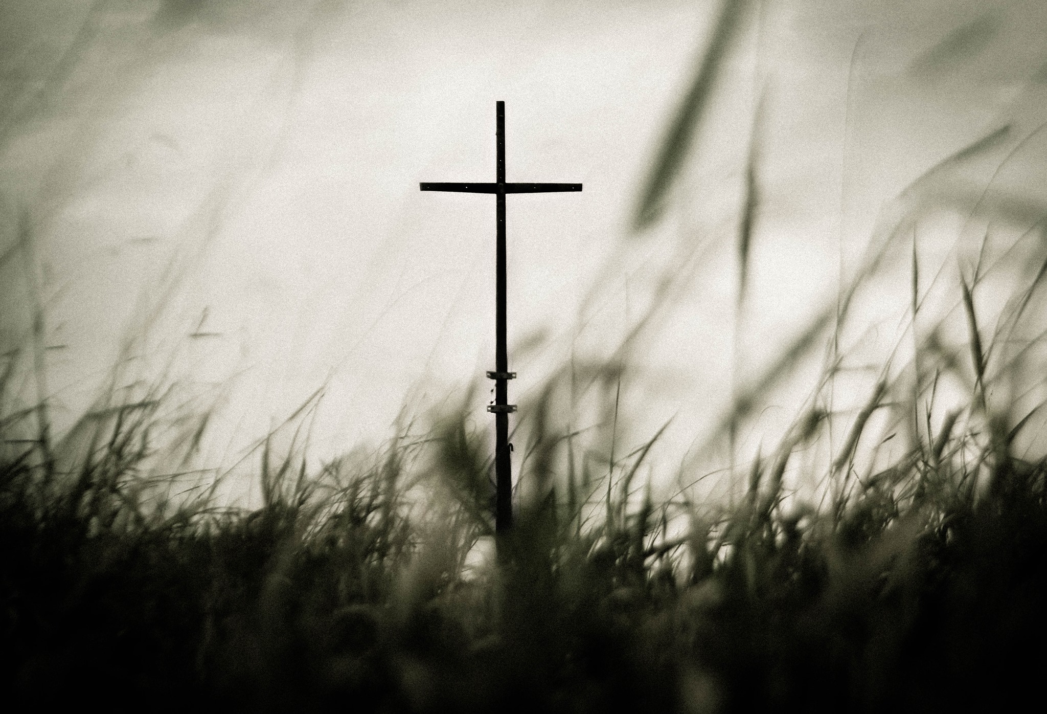 A cross standing above prairie grass, reflecting the steady witness of faith in rural Alberta